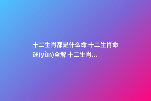 十二生肖都是什么命 十二生肖命運(yùn)全解 十二生肖的性格與命運(yùn)